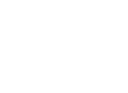 FN Firearms Logo White